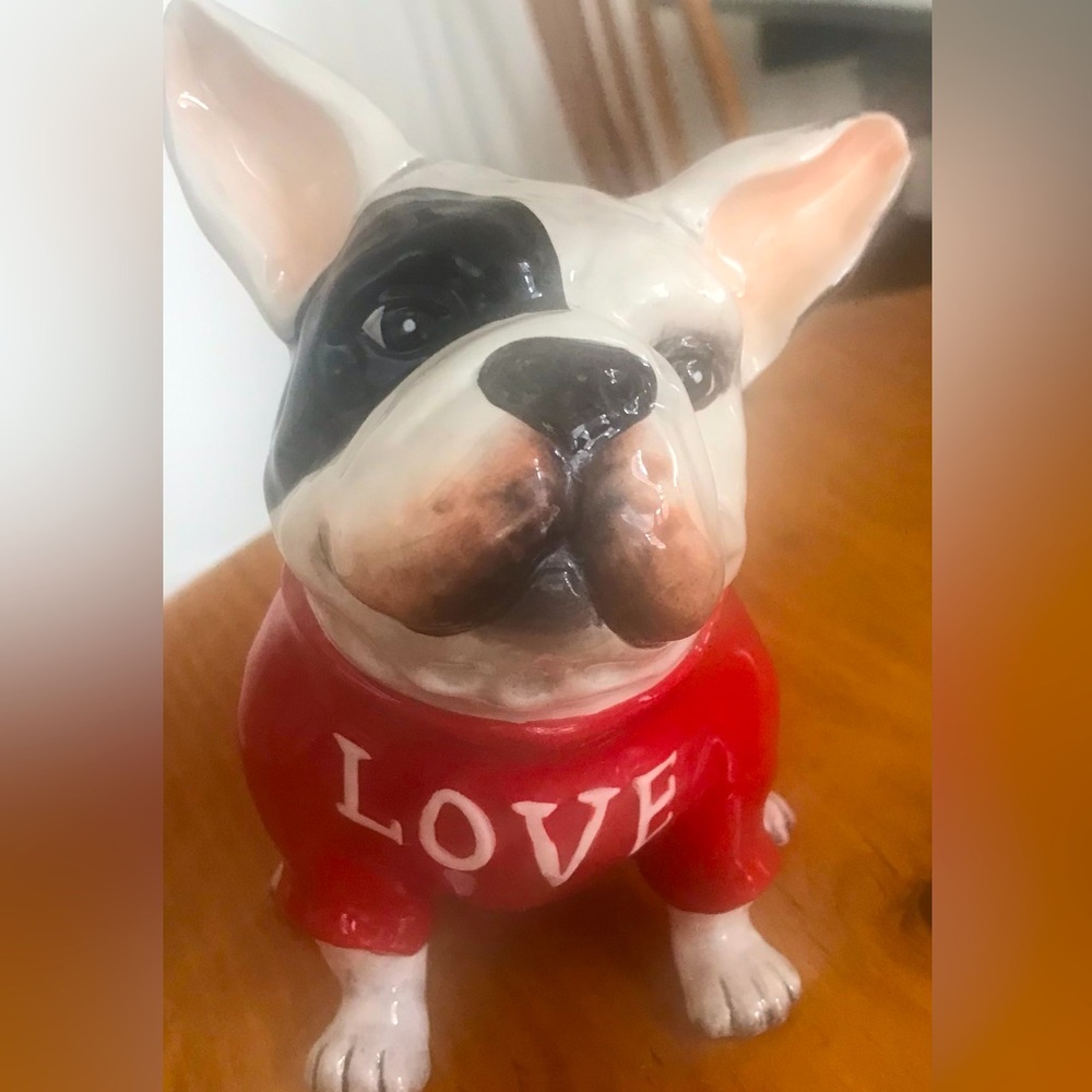 Blue Sky Frenchie. Super cute!